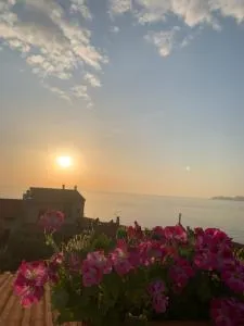 Sardegna casa vacanze La bouganville - Tresnuraghes