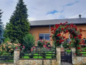 Apartment Arcadia - Trg