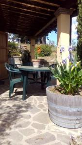 Casa Belvedere -tranquillità tra bosco e ulivi-