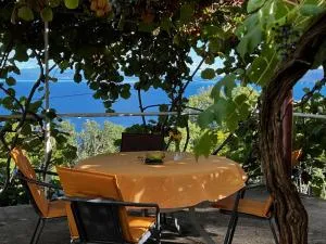 Apartments Mandic - Učka - Kraj