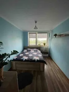 Apartament przy Parku Śląskim - Załęże