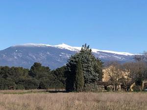 Sejours chez l'habitant Villa avec vue campagne : photos des chambres