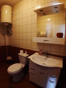 Studio apartman Nissa, Maslenica