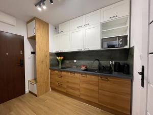 URBAN APARTMENTS Premium DOWNTOWN Opolska 10 No 67B with Garage