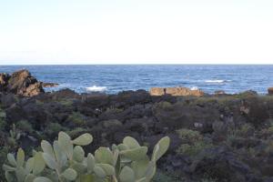 La casa dei Capperi - The house of capers 1