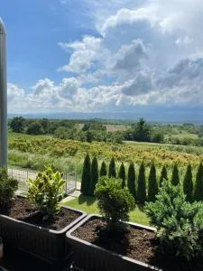 Apartmani Milosavljević - Trnov Laz