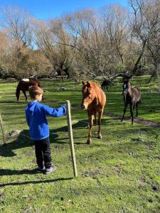 Casa de Campo con Bosque y Pileta
