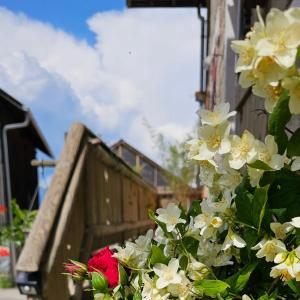 Maisons de vacances Le Banc Des Seilles : photos des chambres