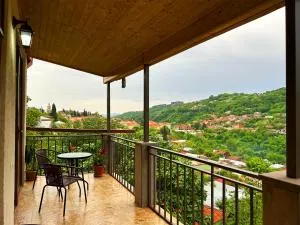 Hotel VIM in Sighnaghi - Anaga