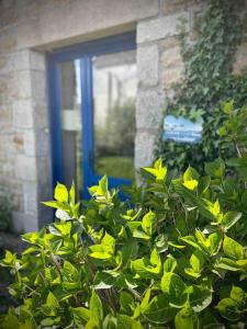 Maisons de vacances Nouveau ! La maison de Keraudran : photos des chambres