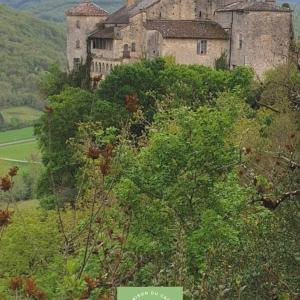 Maisons de vacances Maison au bord de la riviere Aveyron - Bruniquel : photos des chambres