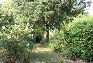 Maisons de vacances Le gite de Gascogne : photos des chambres