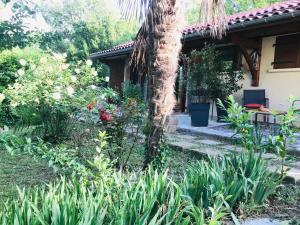 Maisons de vacances Le gite de Gascogne : photos des chambres