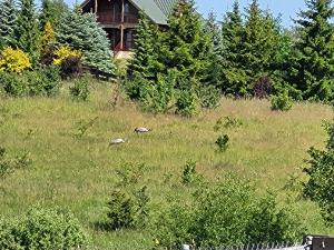 Przytulny domek w Brajnikach 86 37