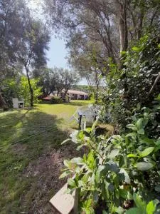 鲁里佛农家乐 - 桑塔露琪亚