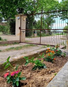 Maisons de vacances Authentique Mas provencal entre mer et Camargue : photos des chambres