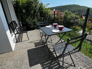 Appartements 2 Pieces avec vue panoramique sur Clermont-Ferrand : Appartement - Rez-de-Chaussée