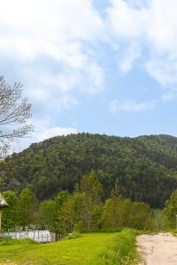 Appartements Appartement, 6 personnes centre Villard-de-Lans : photos des chambres