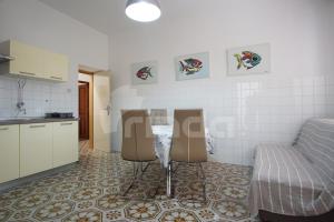 Apartman Sator