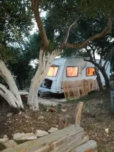 TerraOliva&herbs - Ermones