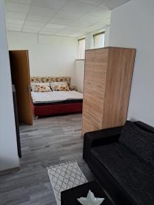 Apartmán pri Sokolovni