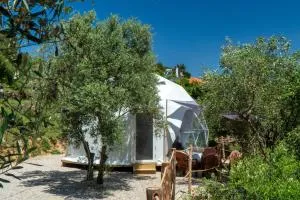 luxury dome tents ikaria ap'esso - 法纳里