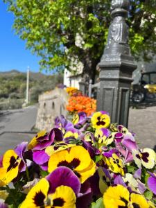 La casa di Nonna Patti e Andy