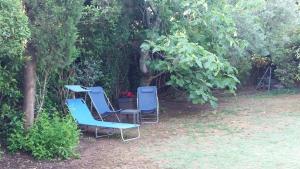Appartements studio charmant et calme villeneuve les avignon entree et cour independantes climatisation piscine parking : photos des chambres