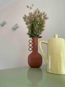 Charmante maison aux Abatilles-piscine-8 pers