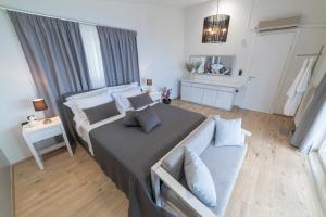 Blue Vedere