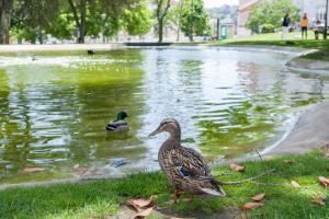 Lisbon Views Apartment