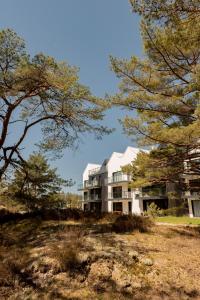 Apartamenty In Porto Łeba