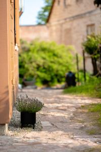 i’dille Brīvdienu māja