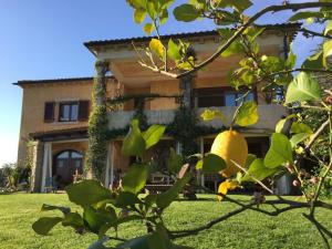 B&B La Murichessa img41