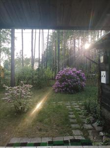 Fantastyczny domek w lesie