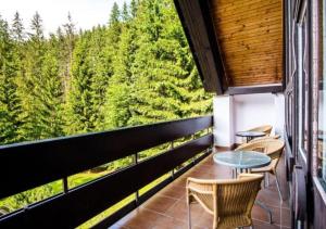 Hotel SKI