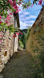 Maisons de vacances Mobile home 6 places camping 5 Vacances Gorges de lArdeche : photos des chambres