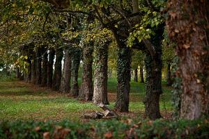 Hotels Chateau - Hotel Le Sallay : photos des chambres