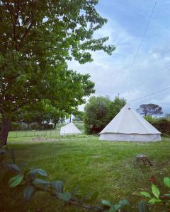 Tentes de luxe TiPampa : photos des chambres