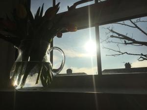 Brighton Boutique Garden Studio with Free Parking