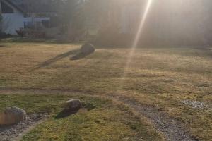 FeWo-Mitten In Schwarzwald