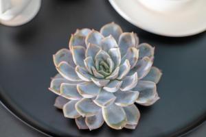 Uniklinik-Nähe Modernes Apartment, mit Balkon