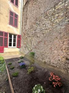 Appartements Le Jardin de Leopold : photos des chambres