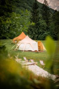 Glamping Gozdna Jasa