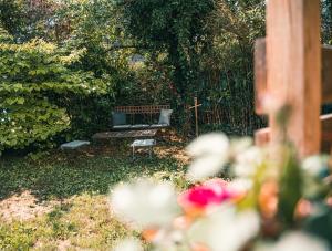 Appartements Le serenite - T3 en maison de ville avec piscine : photos des chambres