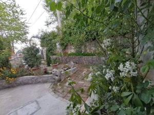 Apartment in Veprinac 