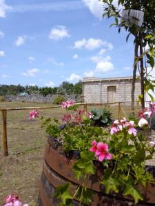 Masseria Petrore Grande di Polimeno Alessandra