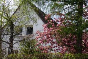 Villas Villa de charme Alsace - Riquewihr : photos des chambres
