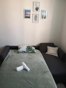 Appartements Zen Place Cachan - T2 au calme et bien equipe : photos des chambres