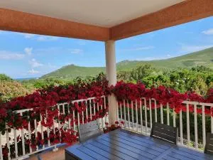 CAP CORSE VILLA VUE MER et MONTAGNE - 卡尼亚诺